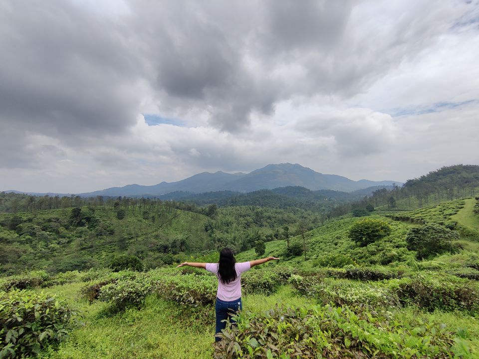 Photo of Wayanad: Green Paradise in God's own country "Kerala" by Shantavi Singbal