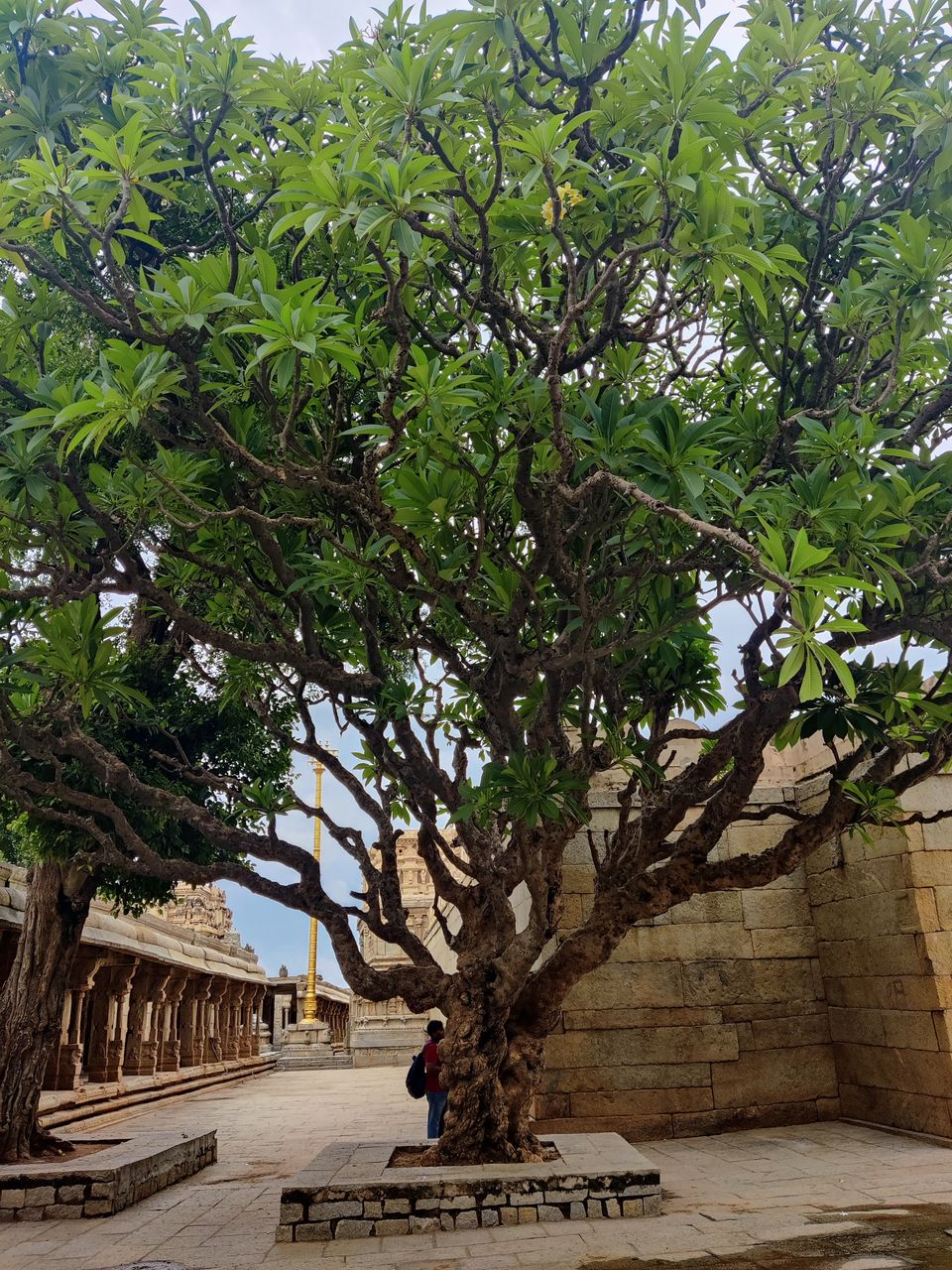 Photo of Lepakshi: Visit to a 16th Century Vijayanagara Era Temple by Shantavi Singbal