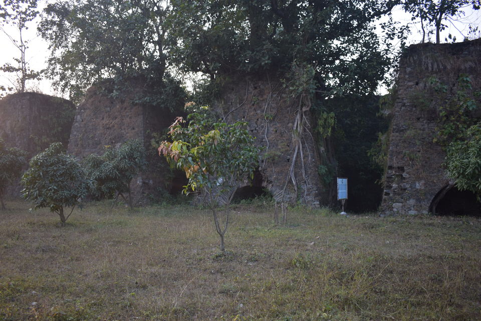 Photo of A Jim Corbett Staycation through Villotale. by KAUSTUBH DESHMUKH