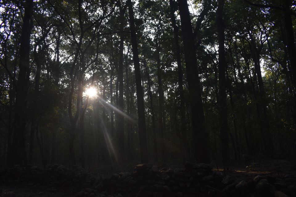 Photo of A Jim Corbett Staycation through Villotale. by KAUSTUBH DESHMUKH