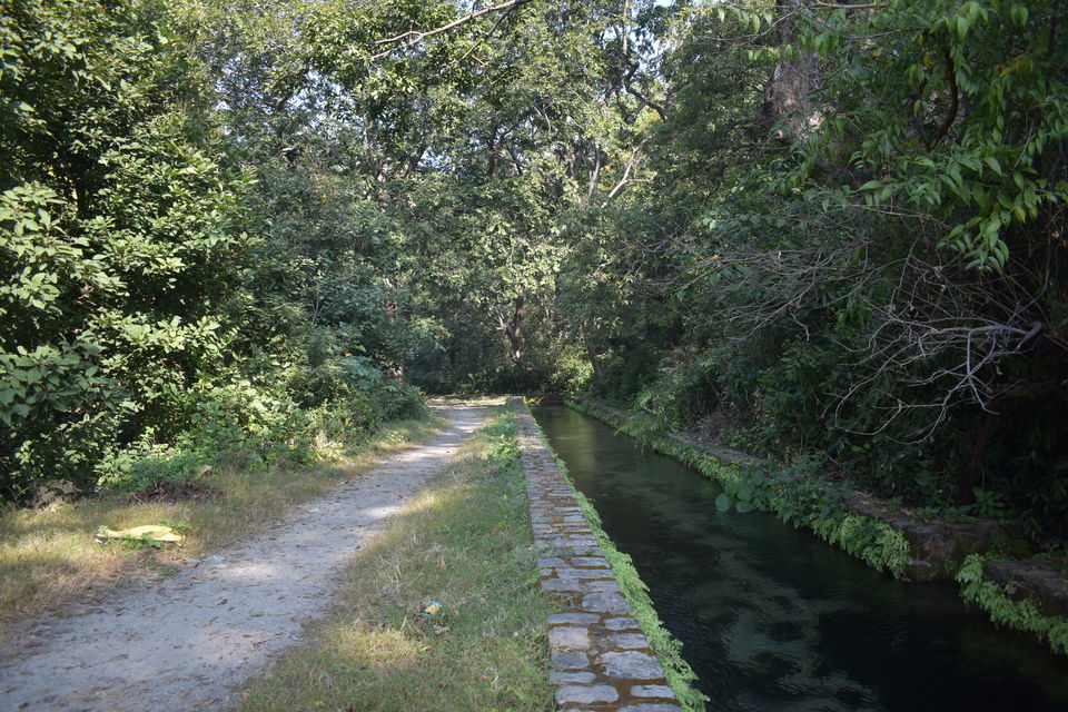 Photo of A Jim Corbett Staycation through Villotale. by KAUSTUBH DESHMUKH