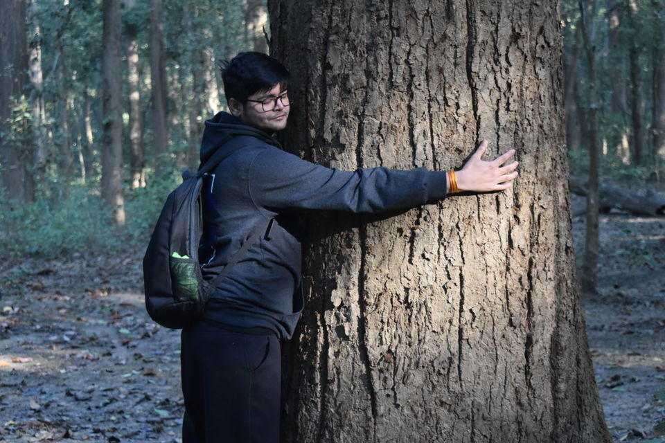 Photo of A Jim Corbett Staycation through Villotale. by KAUSTUBH DESHMUKH