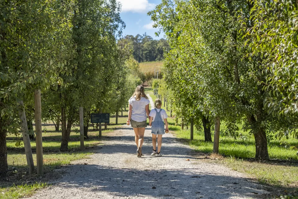 Photo of Here’s How to Explore the Best of Western Australia in 5 Days by Pooja Naik