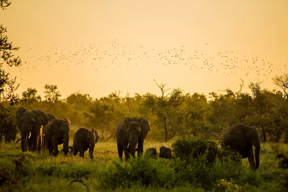 Photo of Periyar National Park 2/9 by 