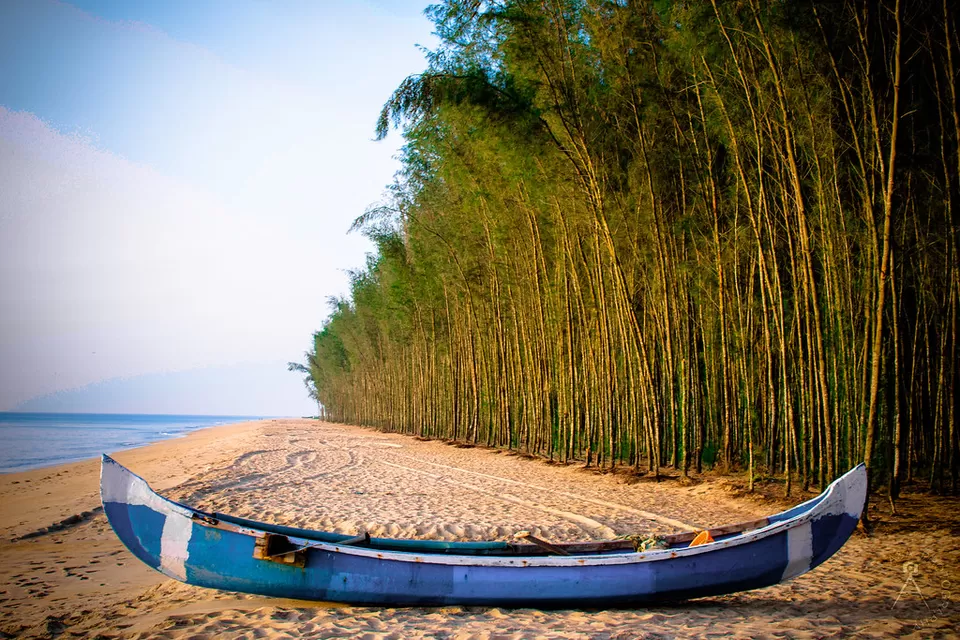 Photo of Chavakkad Beach 6/6 by 