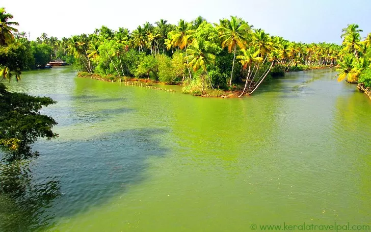 Poovar Island: A Natural Wonder in Kerala That You Must Visit