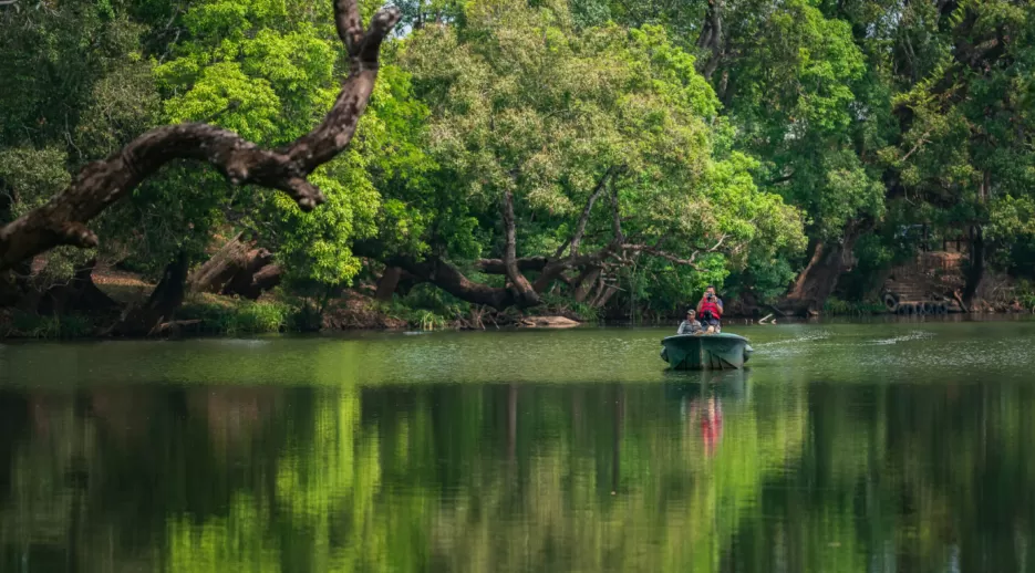 Photo of Dubare Elephant Camp 1/1 by 