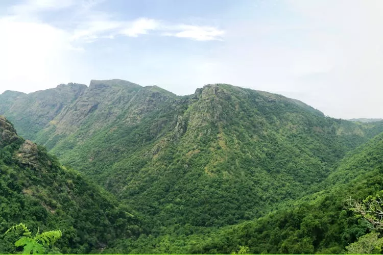 Photo of Kolli Hills 5/10 by 