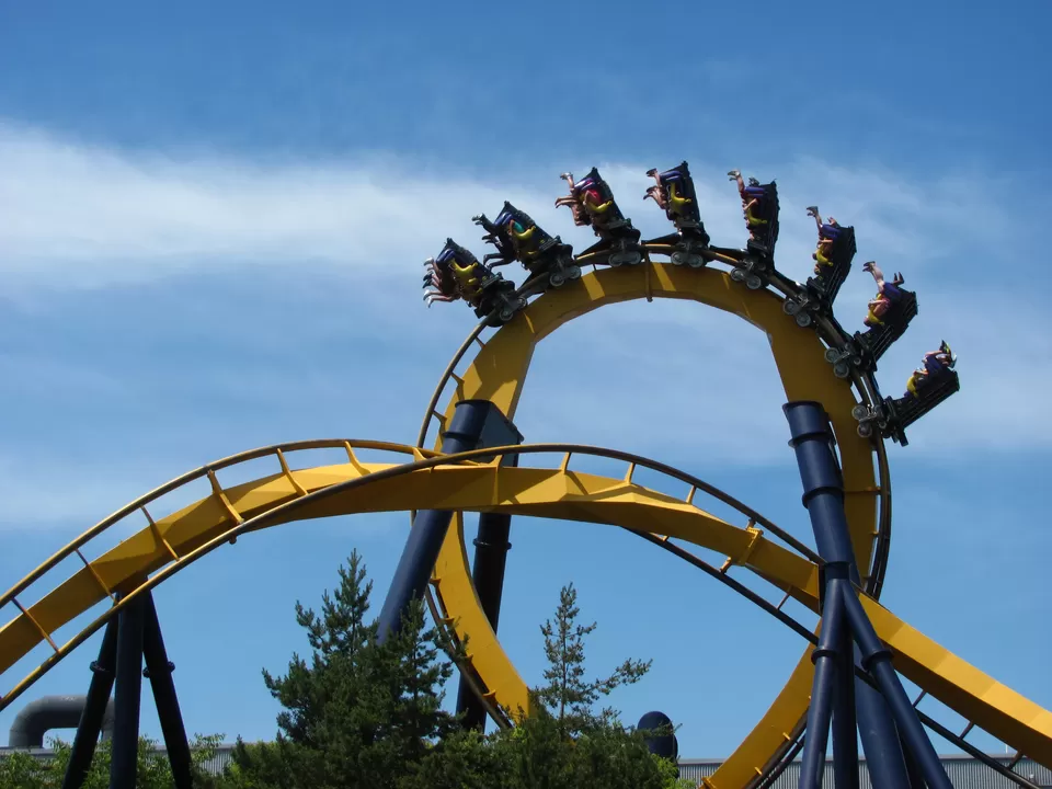 Photo of Mgm Dizzee World 2/2 by 