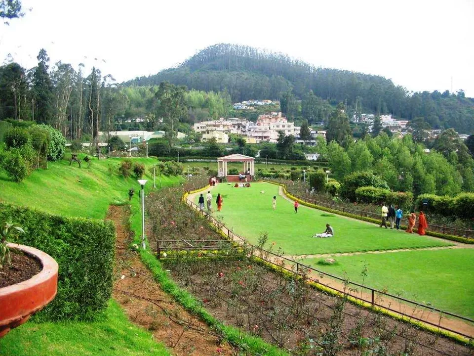 Photo of Ooty Rose Garden 2/3 by 