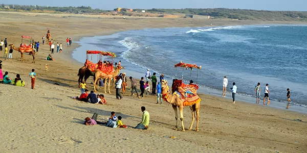 Tithal Beach: A Guide to the Black Sand Paradise of Gujarat