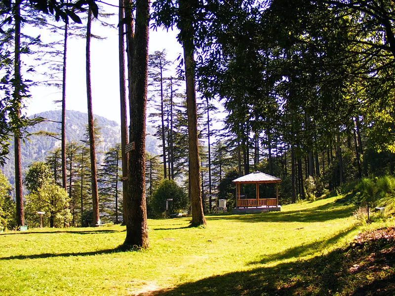 Photo of Dhanaulti 1/3 by 
