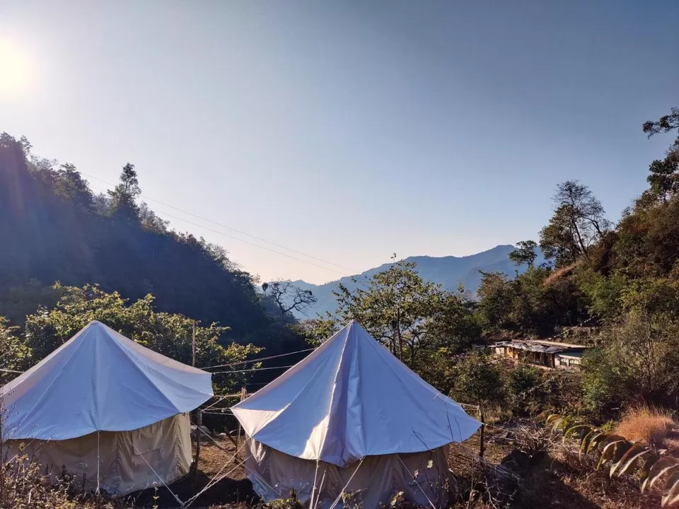 Photo of Camping In Rishikesh 1/1 by