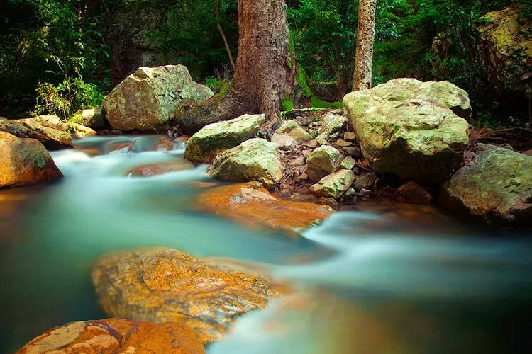 Photo of Talakona Waterfall 1/1 by 