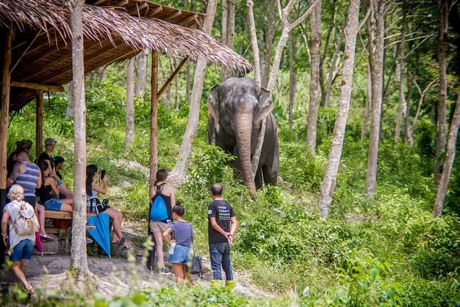 Photo of Green Elephant Sanctuary Park Phuket 2/2 by