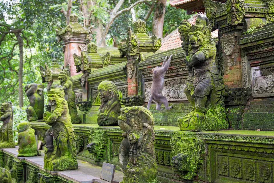 Photo of Sacred Monkey Forest Sanctuary 1/1 by