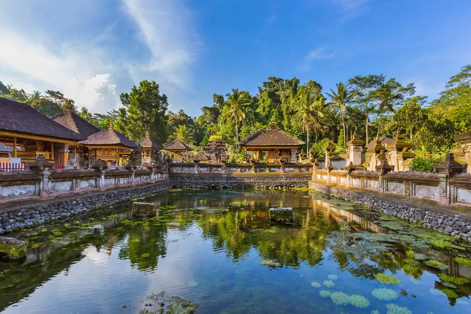 Photo of Tegallalang Rice Terraces 6/6 by