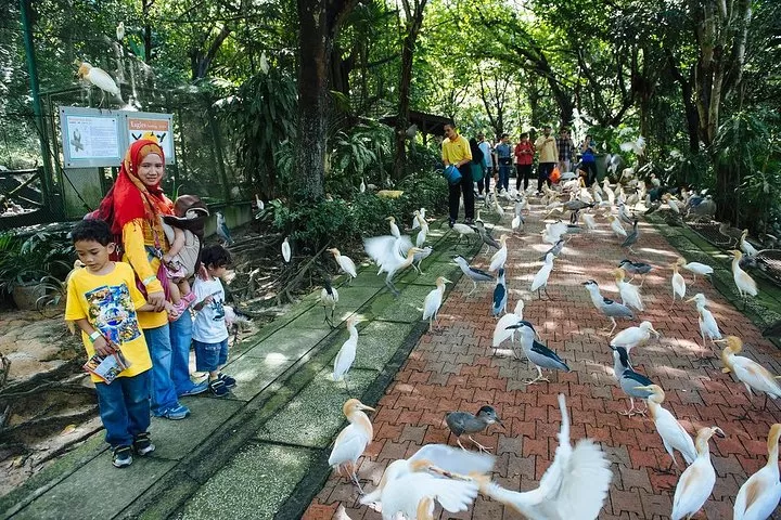 Photo of Kuala Lumpur Bird Park 2/3 by 