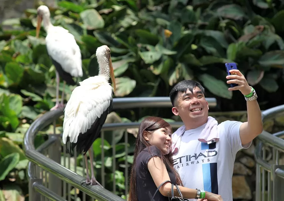 Photo of Kuala Lumpur Bird Park 3/3 by 