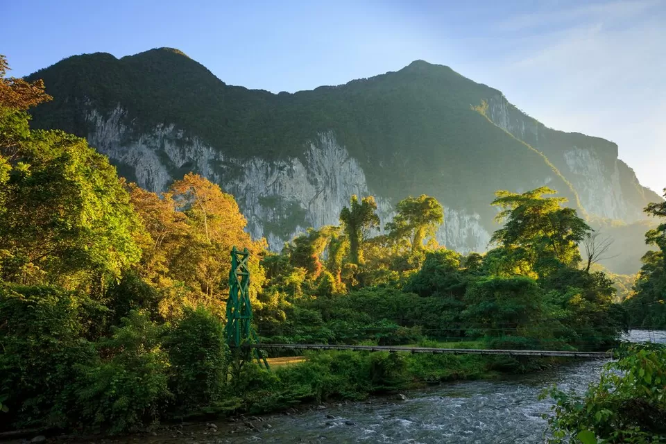 Photo of Gunung Mulu National Park 3/3 by