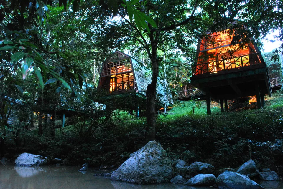 Photo of Danum Valley Conservation Area 2/3 by