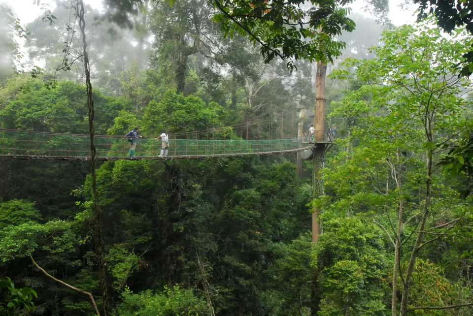 Photo of Danum Valley Conservation Area 3/3 by