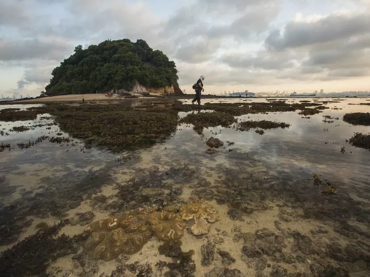 Photo of St John Island Singapore 3/6 by