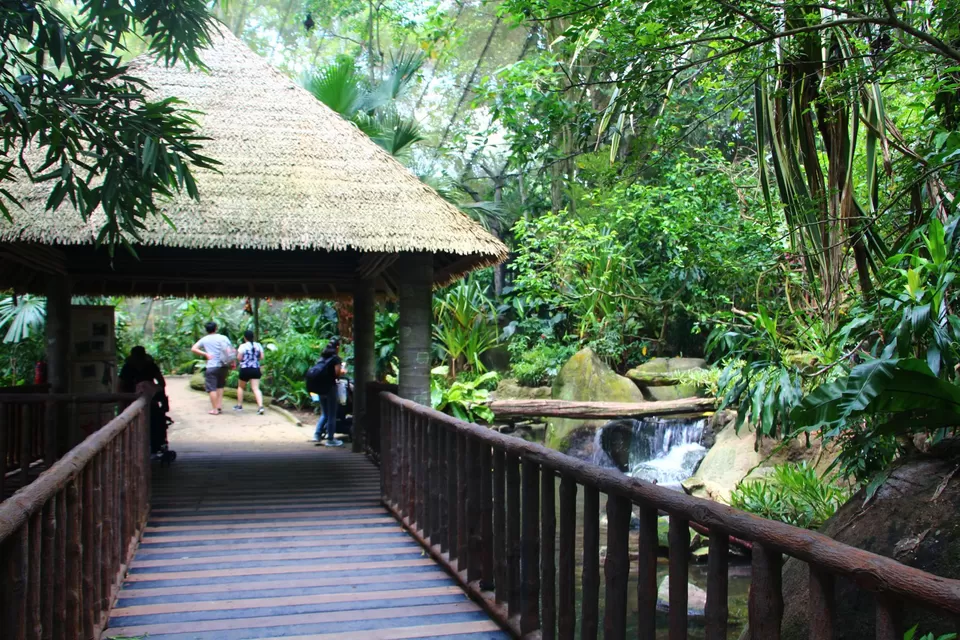 Photo of The Singapore Zoo 2/4 by 