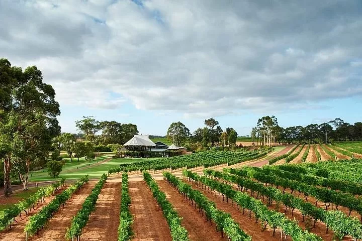 Photo of Margaret River 1/4 by