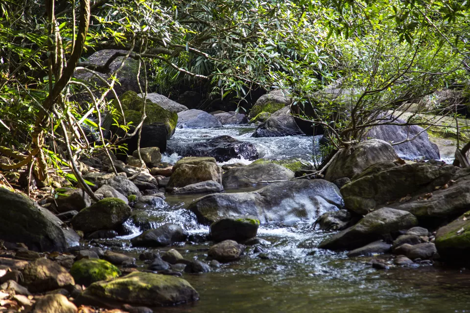 Photo of Ottapalam 6/8 by