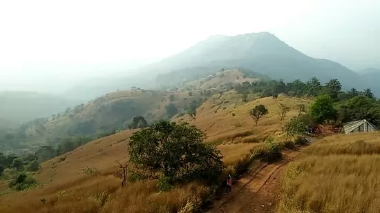 Photo of Kodikuthimala 5/6 by