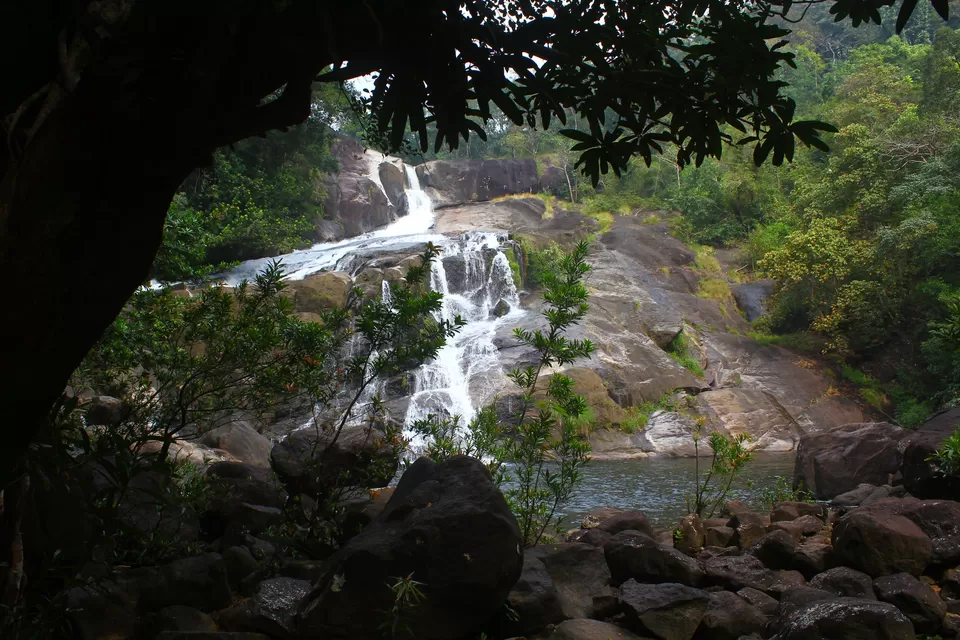 Photo of Meenmutty Falls 8/8 by 