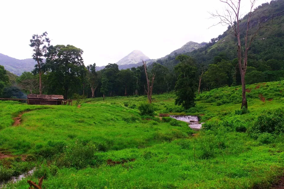 Photo of Parambikulam Tiger Reserve 2/9 by