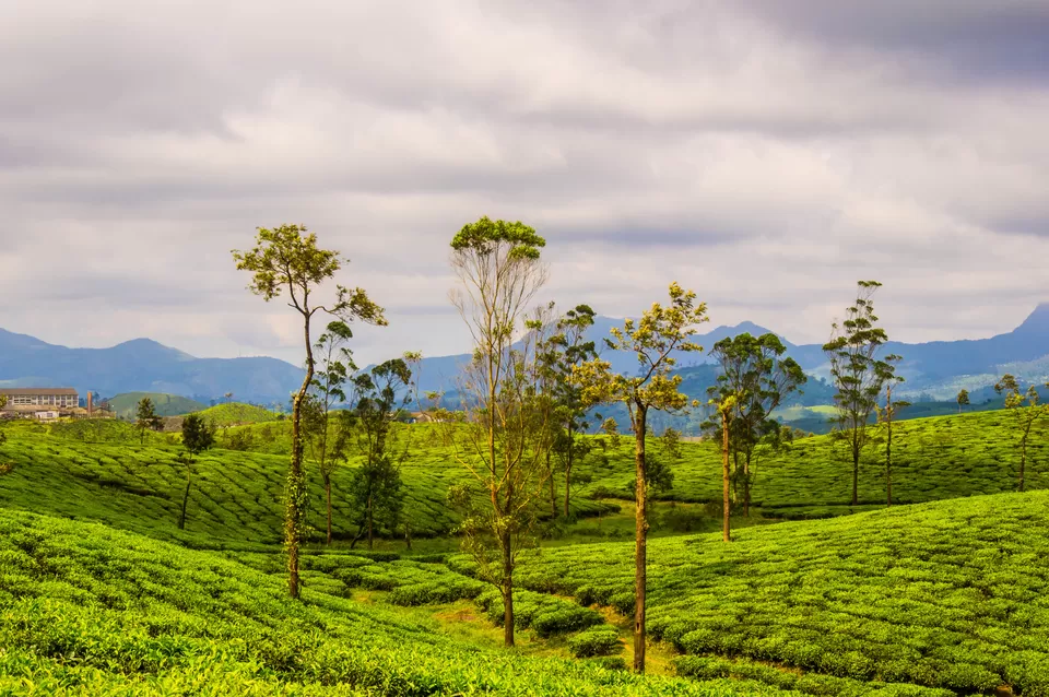 Photo of Parambikulam Tiger Reserve 3/9 by