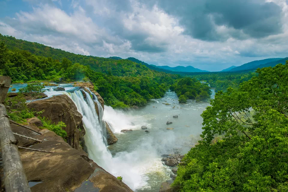 Photo of Parambikulam Tiger Reserve 4/9 by