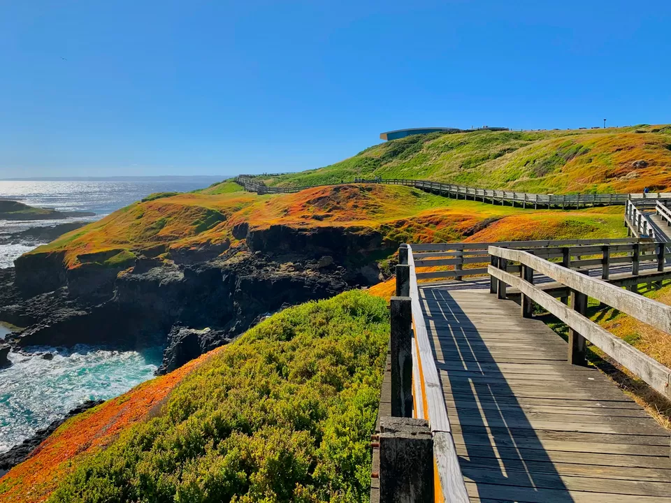 Photo of Phillip Island 4/4 by