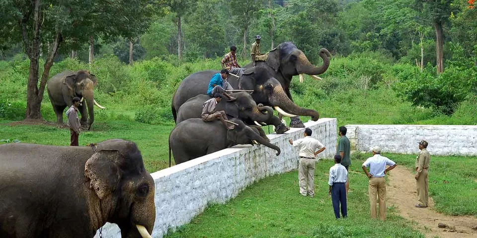 Photo of Virajpet 7/8 by