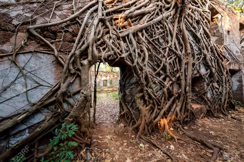 Photo of Fort Tiracol 6/7 by