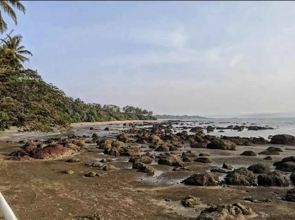 Photo of Bambolim Beach 2/12 by