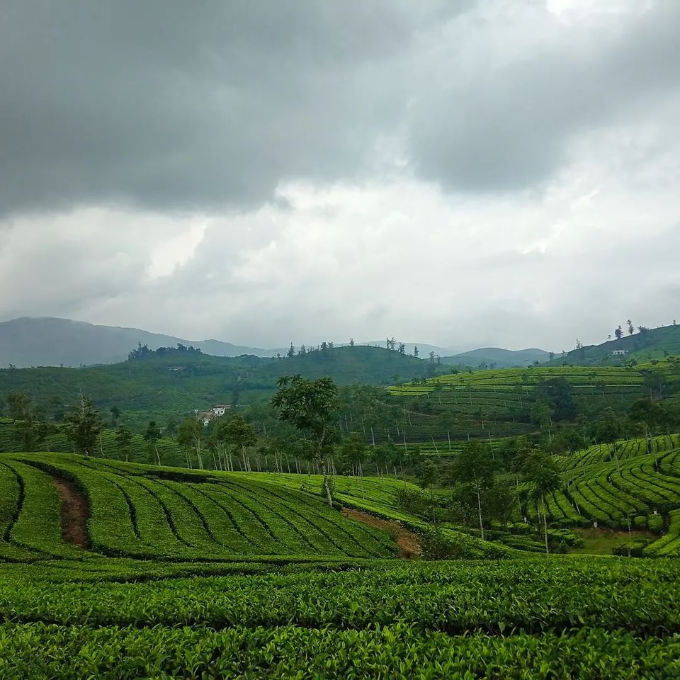 Photo of An Adventure Lover, A Leisure Tripper, And A Rain-Drenched Vagamon by Titli Ghosh