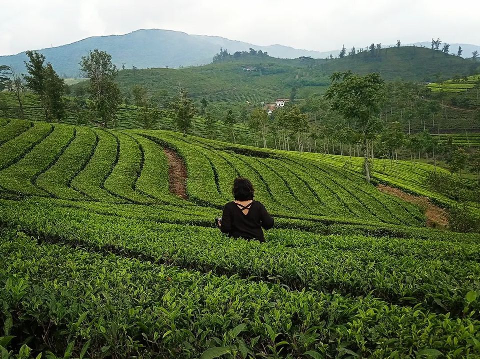 Photo of An Adventure Lover, A Leisure Tripper, And A Rain-Drenched Vagamon by Titli Ghosh