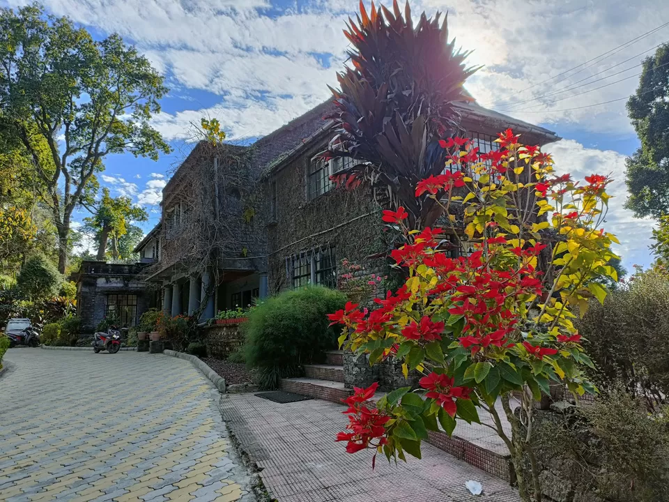 Photo of Last Christmas: An Epic Trip to Kalimpong by Titli Ghosh