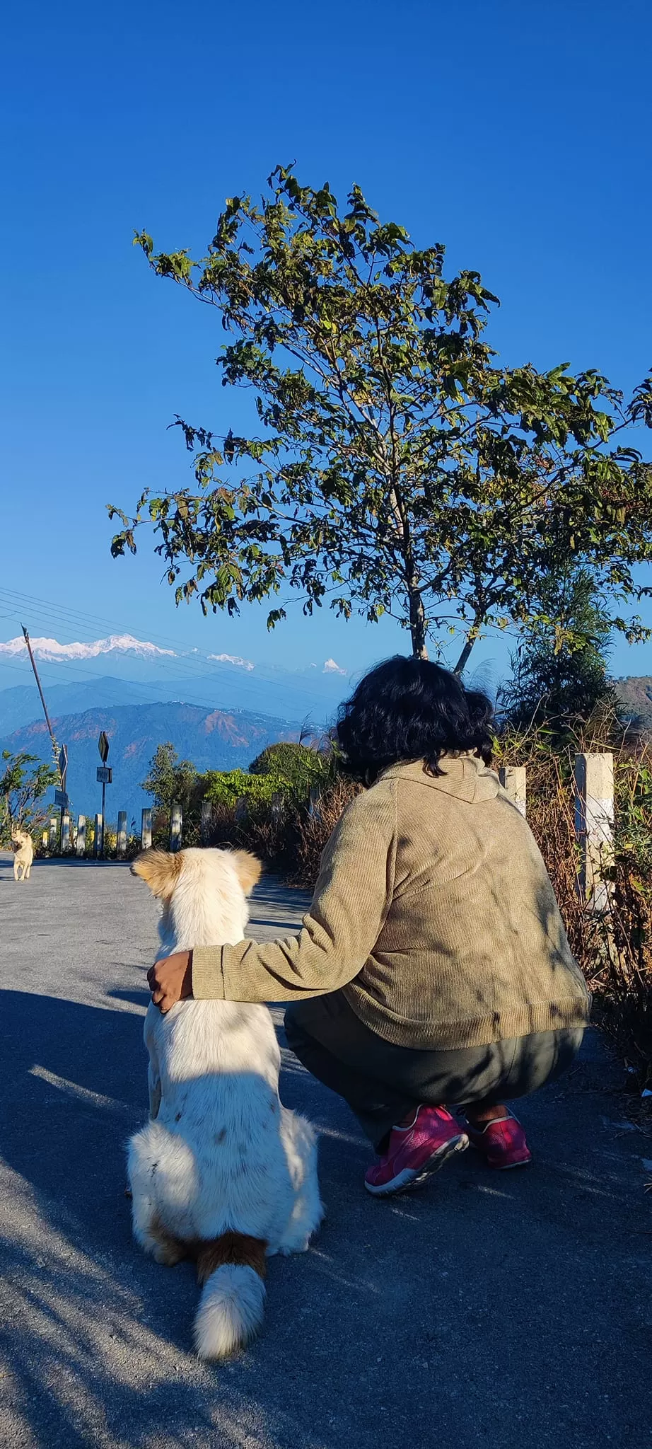 Photo of Last Christmas: An Epic Trip to Kalimpong by Titli Ghosh