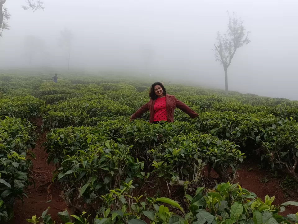 Photo of Ooty-Coonoor: The Twin Heavens of the Nilgiris by Titli Ghosh