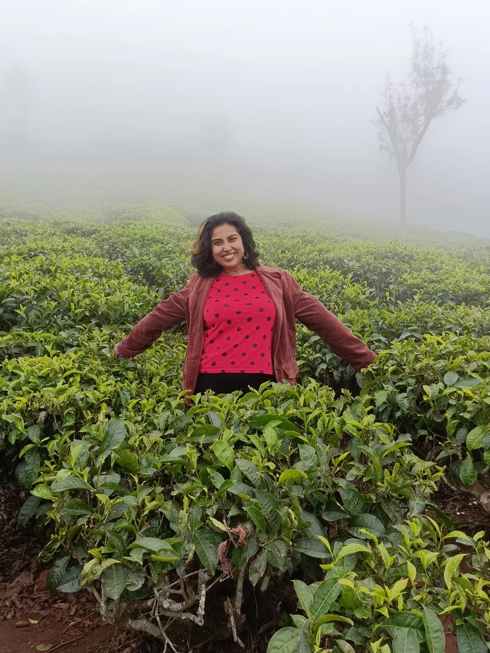 Photo of Ooty-Coonoor: The Twin Heavens of the Nilgiris by Titli Ghosh
