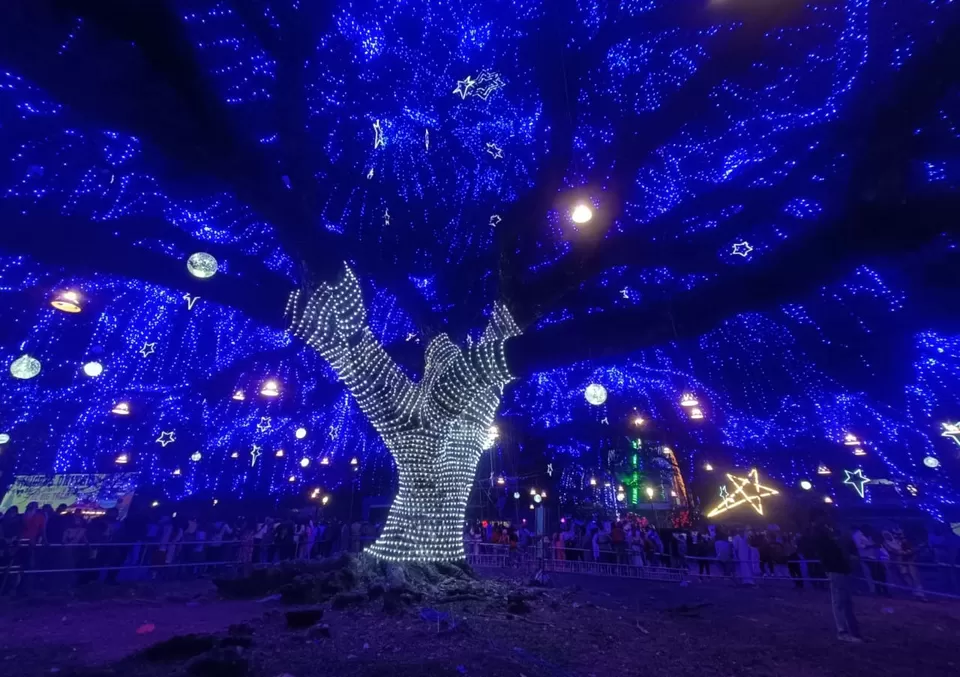 Photo of Kochi on Christmas: A Perfect Solo Adventure by Titli Ghosh