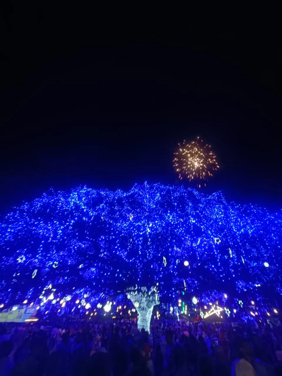 Photo of Kochi on Christmas: A Perfect Solo Adventure by Titli Ghosh
