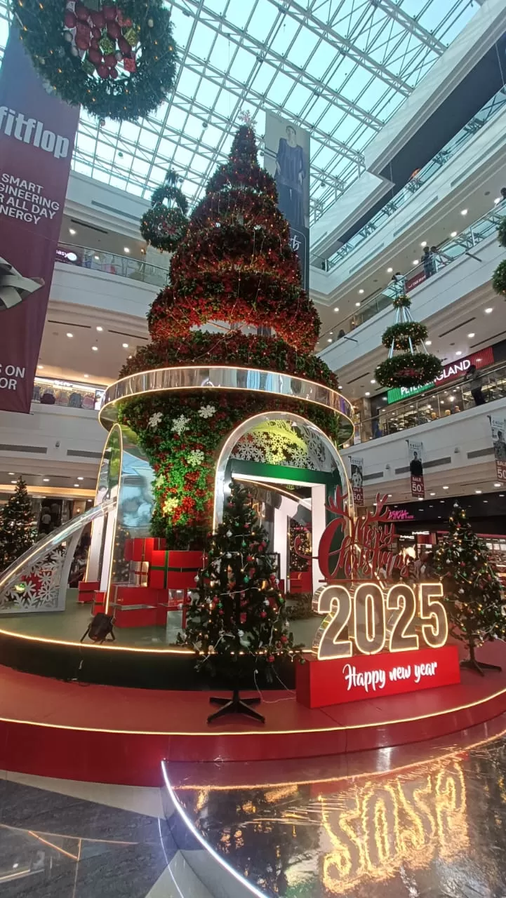 Photo of Kochi on Christmas: A Perfect Solo Adventure by Titli Ghosh