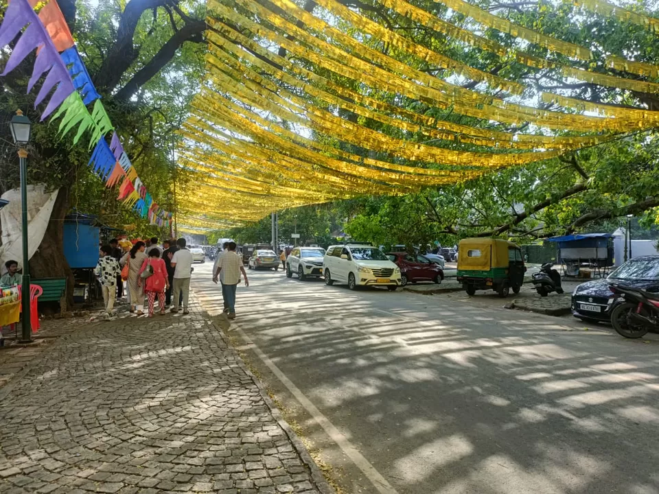 Photo of Kochi on Christmas: A Perfect Solo Adventure by Titli Ghosh