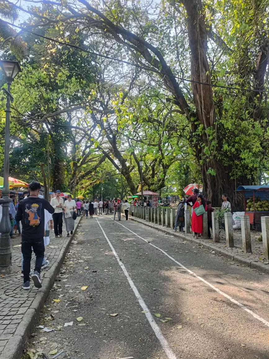 Photo of Kochi on Christmas: A Perfect Solo Adventure by Titli Ghosh